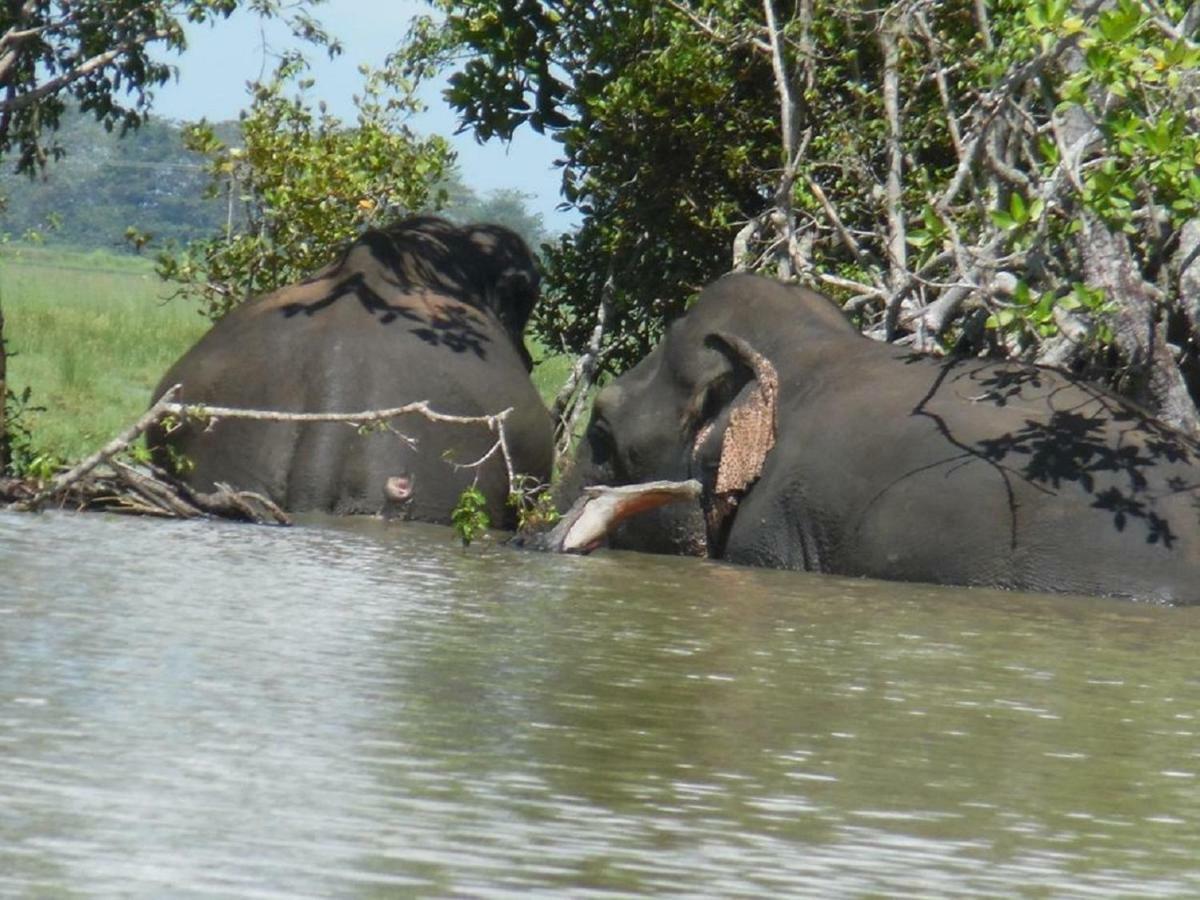 Cardinals Bay Resort Arugam Bay Bagian luar foto
